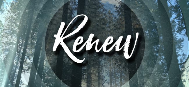 Renew