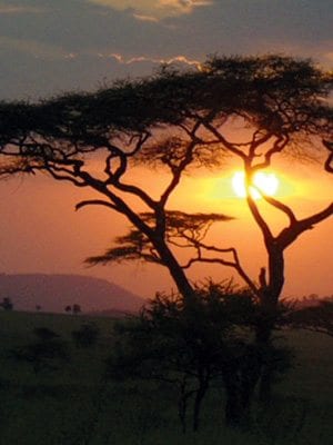 GO Trip Photos Tanzania