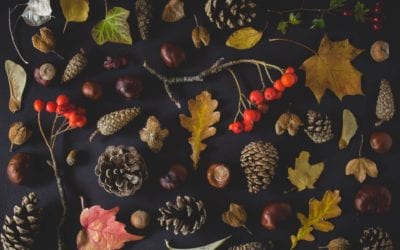 Thanksgiving, Say – And DO – Thanks!