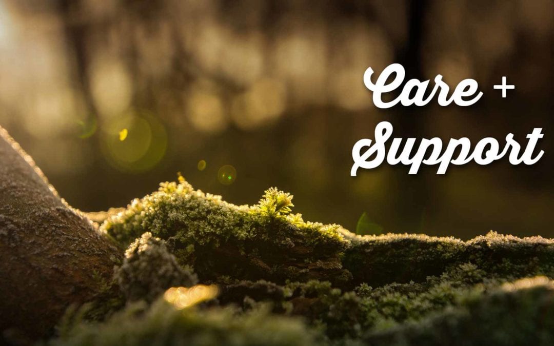 Care + Support