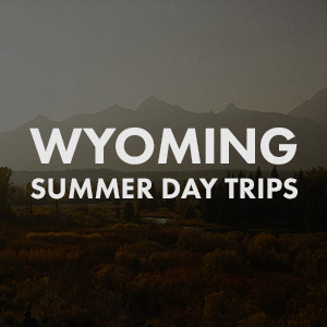 300X300 Wyoming