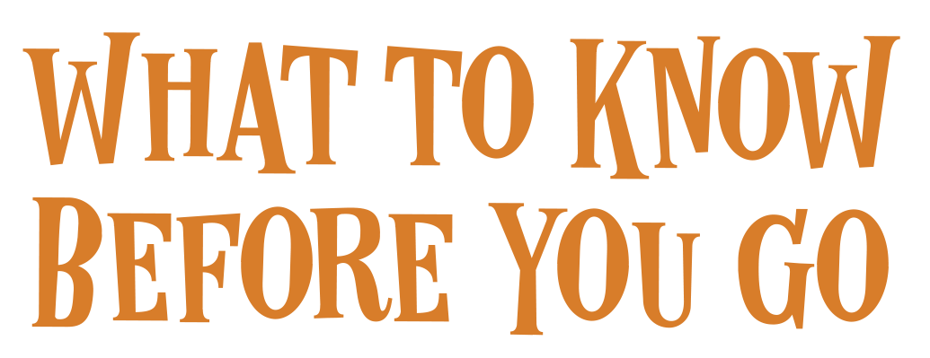 what to know before you go